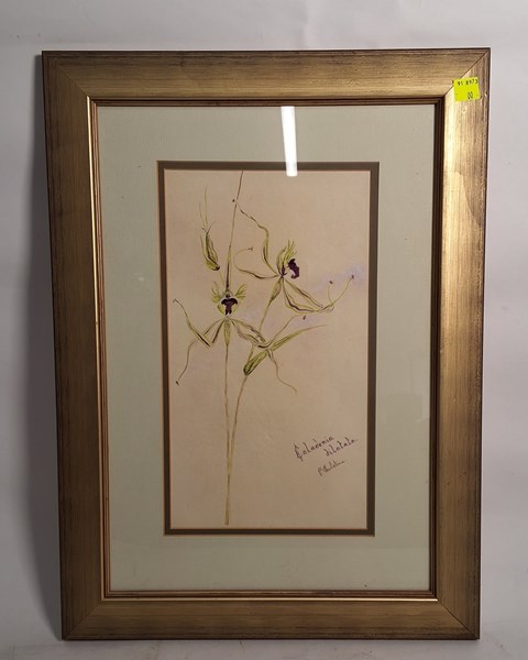 Lot 1106 - PAMELA HAILSTONE