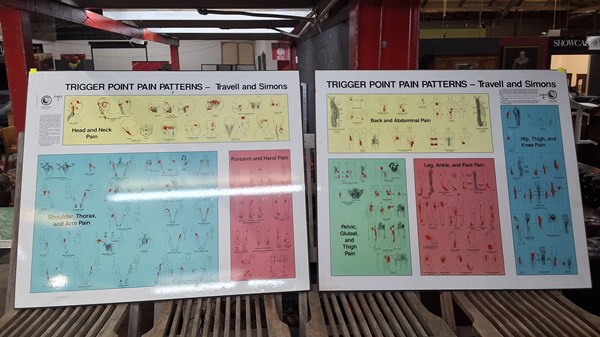 Lot 263 - MEDICAL CHARTS