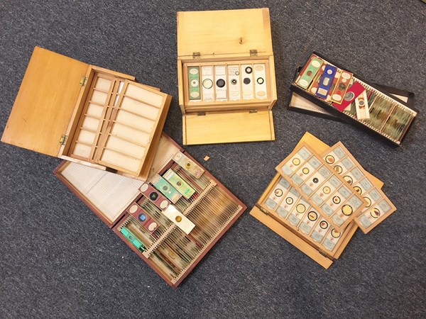 Lot 1310 - MICROSCOPE SLIDES