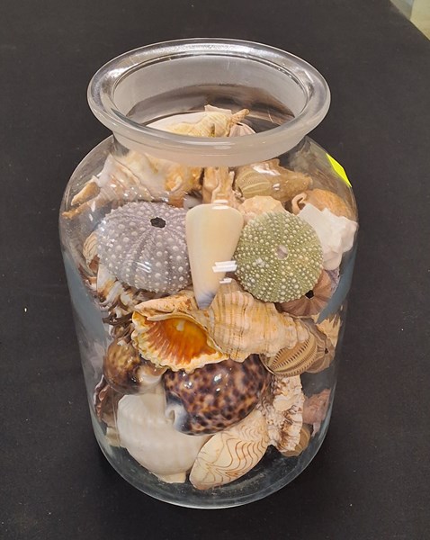 Lot 1240 - BEACHCOMBERS JAR
