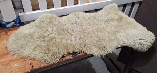 Lot 199 - SHEEP SKIN
