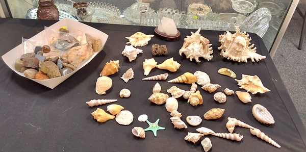 Lot 1160 - ROCK, MINERAL & SHELL SPECIMENS