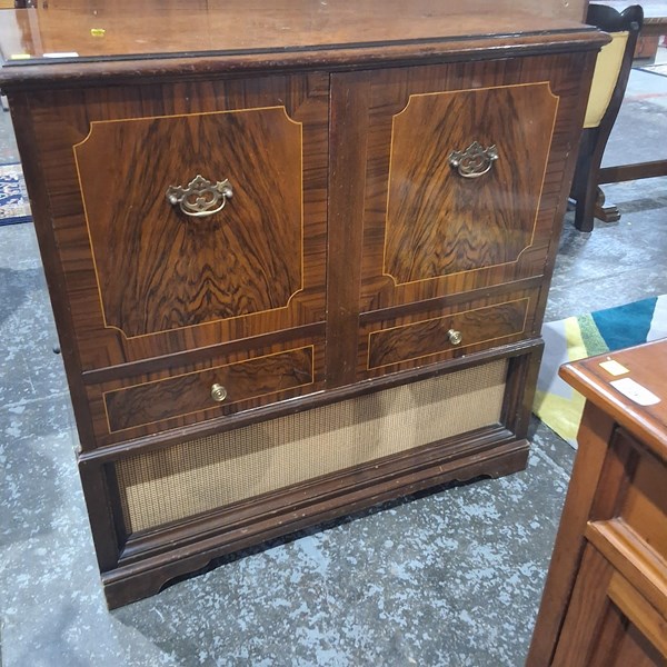 Lot 225 - RECORD CABINET