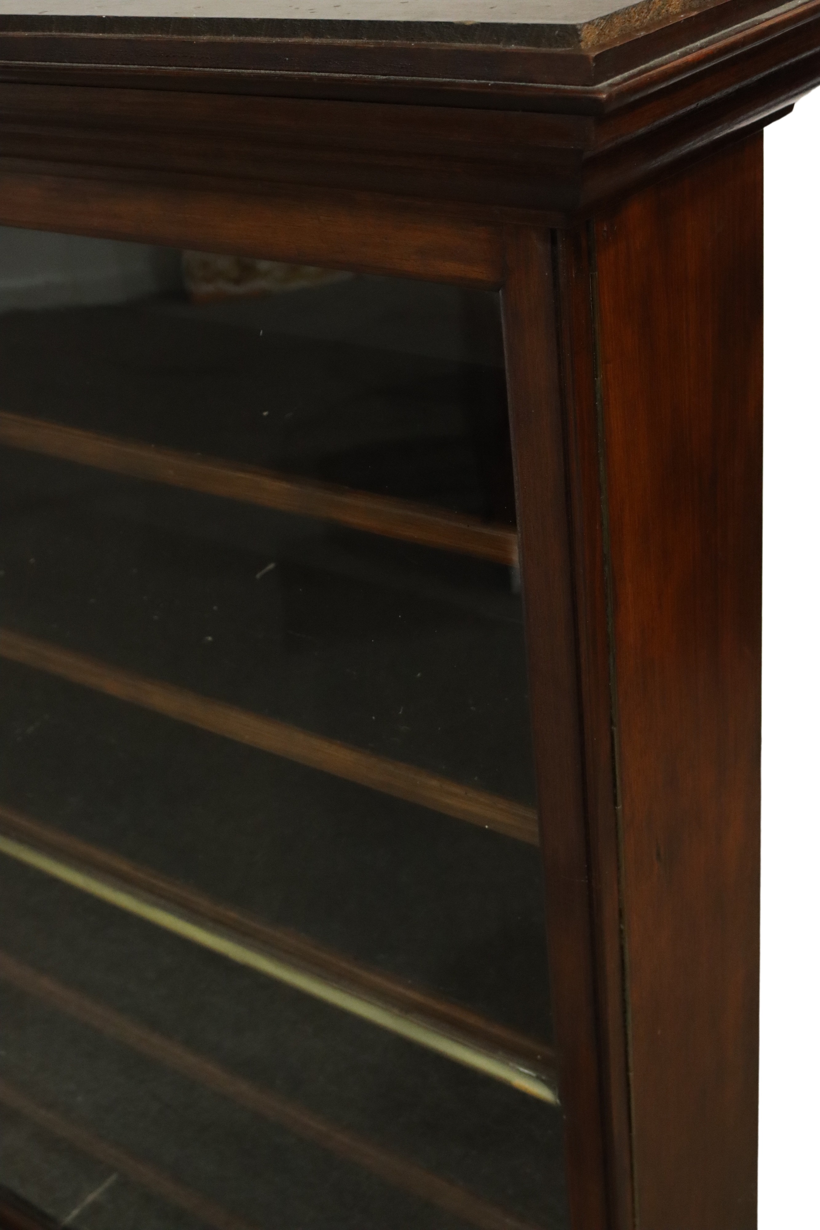 Lot 53 SHOPKEEPER'S ENCLOSED DISPLAY