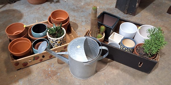 Lot 489 - GARDEN LOT