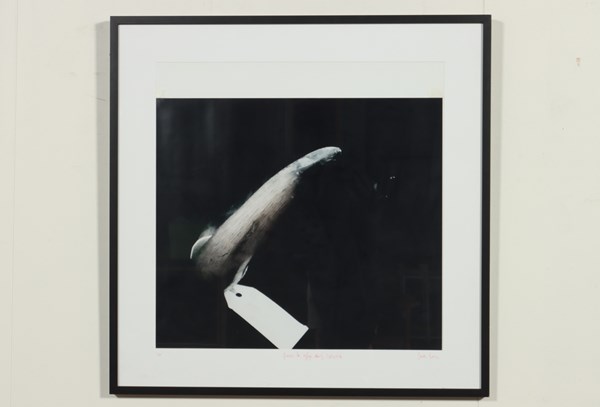 Lot 62 - DEREK BARON (Australia)