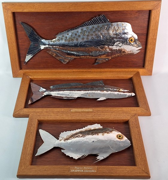 Lot 1115 - WALL FISH
