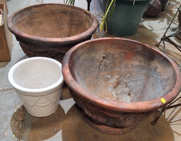Lot 509 - POTS