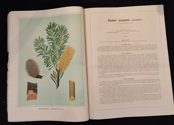 Lot 1409 - BROWN, J.E.