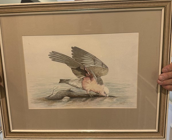 Lot 1304 - KAYE JANIAK