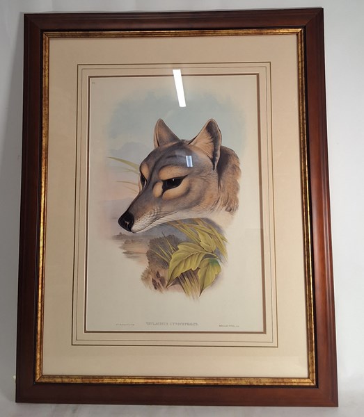 Lot 1441 - GOULD 'THYLACINE' PRINT