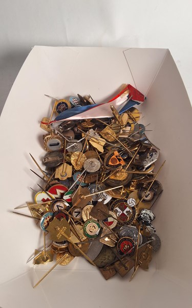 Lot 1225 - BADGES AND PINS