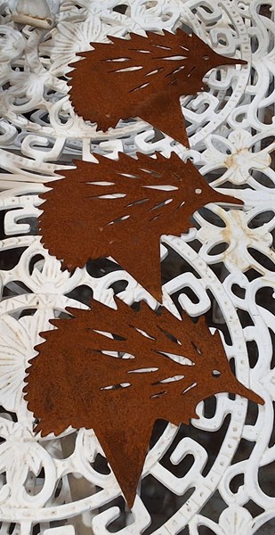 Lot 355 - GARDEN ECHIDNAS