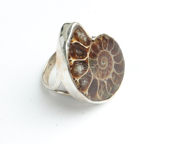 Lot 1019 - SILVER RING