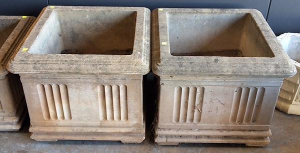 Lot 563 - PLANTERS
