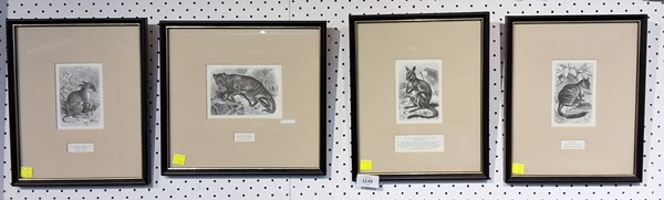 Lot 1145 - NATIVE FAUNA PRINTS