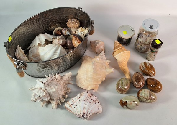 Lot 1538 - ROCKS & SHELLS