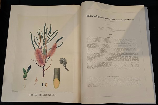 Lot 1214 - BROWN, J.E.