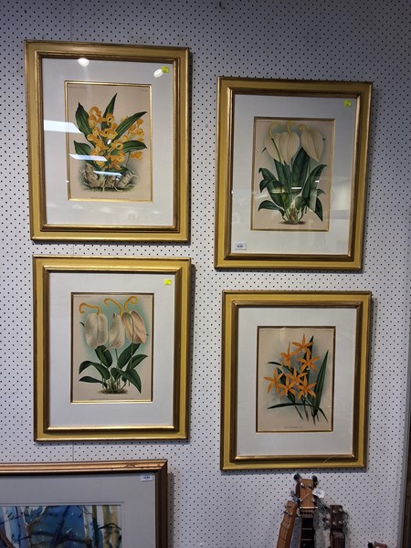Lot 1142 - FLORA CHROMOLITHOGRAPHS