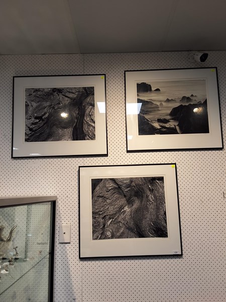 Lot 1146 - PHOTOGRAPHIC STUDIES