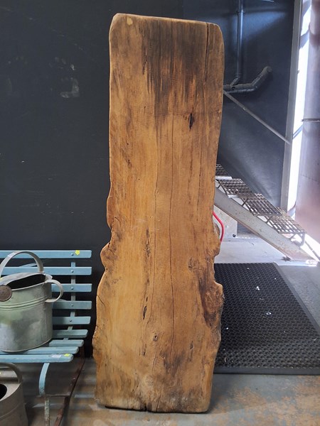 Lot 290 - TIMBER SLAB