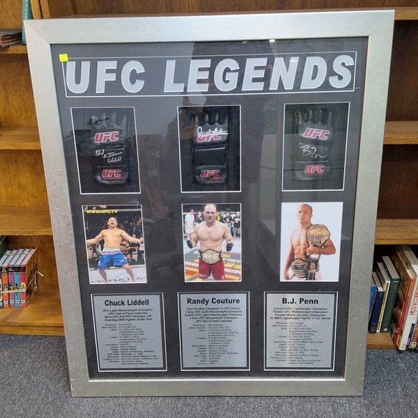 Lot 1543 - FRAMED GLOVES