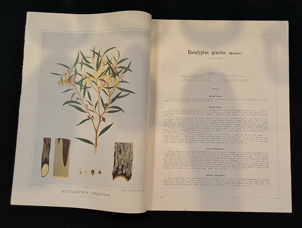 Lot 1440 - BROWN, J.E.