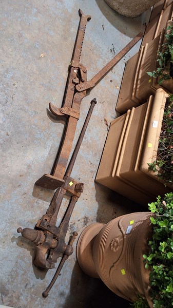 Lot 377 - JACK AND VICE