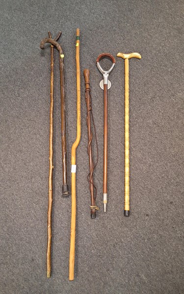 Lot 1254 - WALKING STICKS