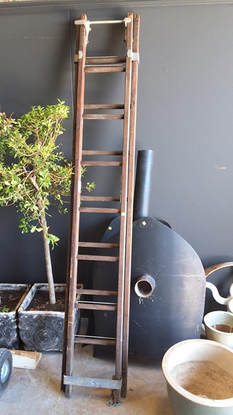 Lot 341 - EXTENSION LADDER