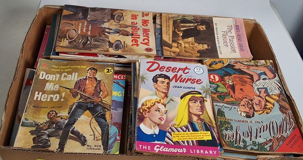 Lot 1340 - DIME NOVELS