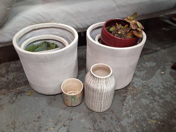 Lot 54 - POTS AND PLANTERS