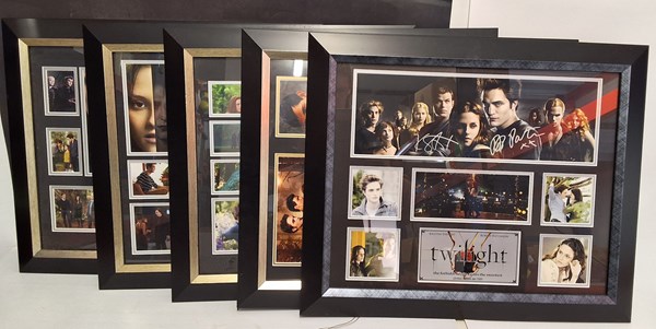 Lot 1504 - TWILIGHT FRAMES