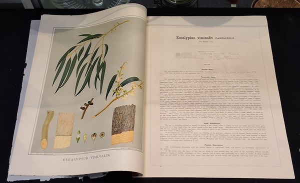 Lot 1461 - BROWN, J.E.