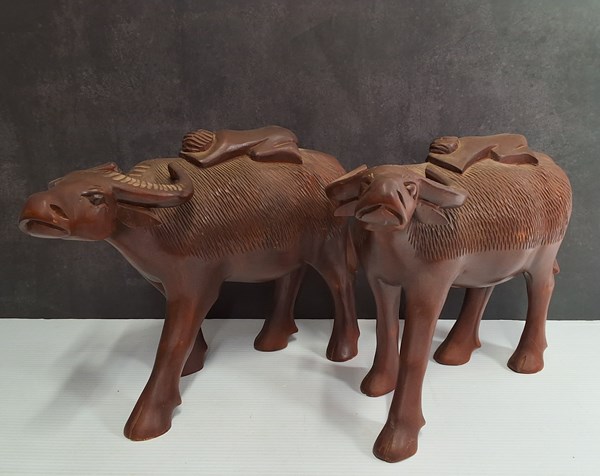 Lot 1388 - TIMBER BUFFALO