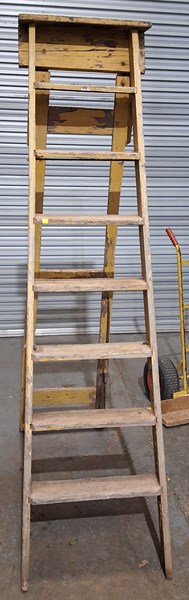 Lot 349 - STEP LADDER