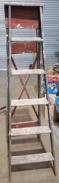 Lot 342 - STEP LADDER