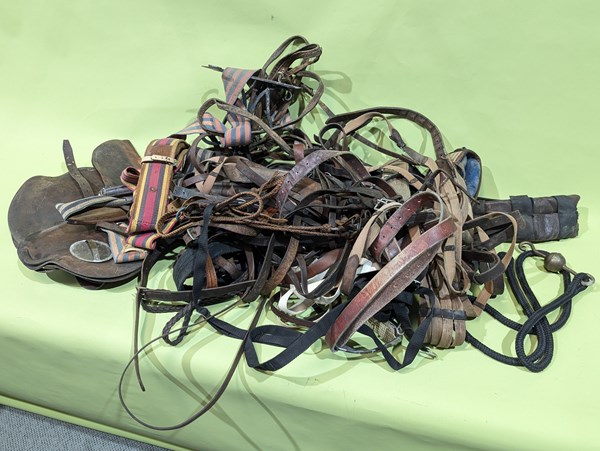 Lot 303 - HORSE HARNESSES