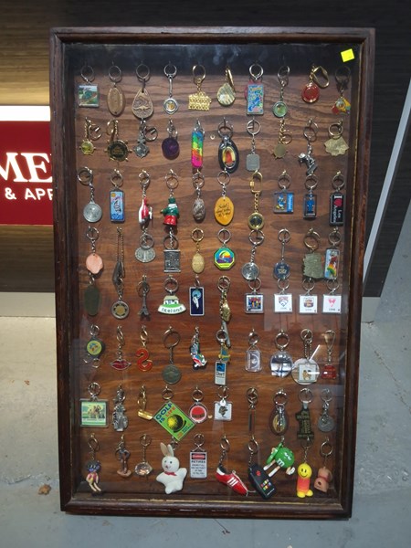 Lot 65 - GLASS FRONT TIMBER DISPLAY CASE