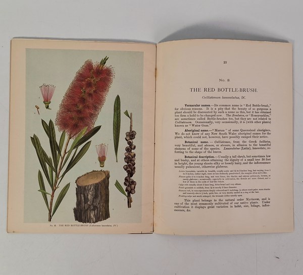 Lot 1072 - MAIDEN, J.H.