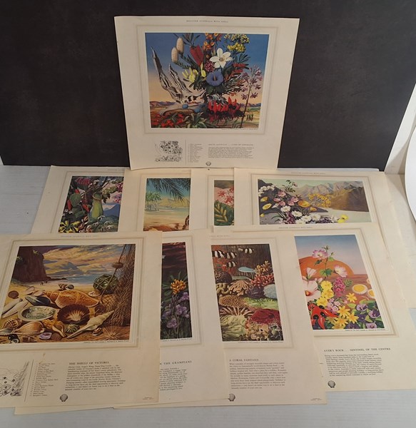 Lot 1268 - SHELL PRINTS