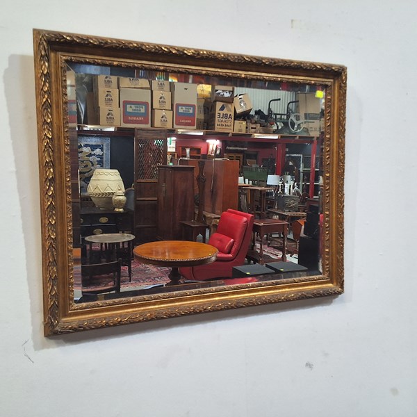 Lot 421 - MIRROR
