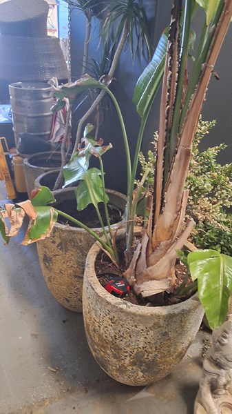 Lot 519 - CRUCIBLE POTS