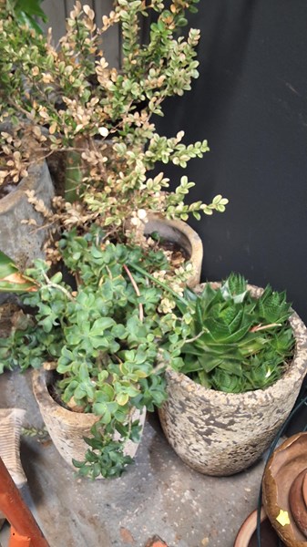 Lot 520 - CRUCIBLE POTS