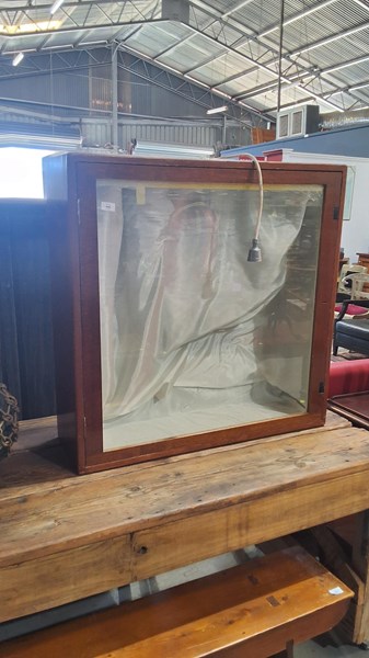 Lot 445 - DISPLAY CABINET