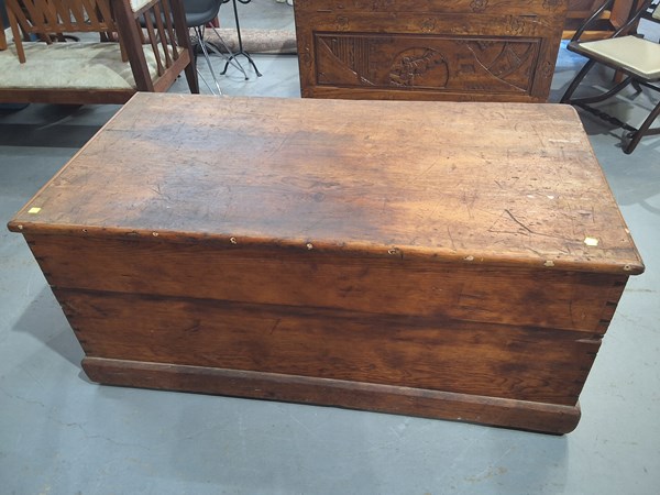 Lot 302 - PINE TRUNK